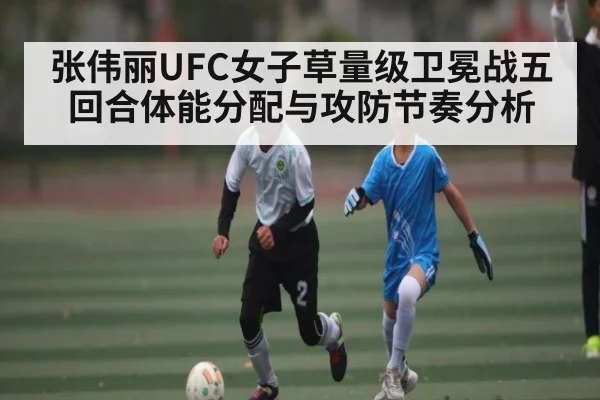 张伟丽UFC女子草量级卫冕战五回合体能分配与攻防节奏分析 | kaiyun